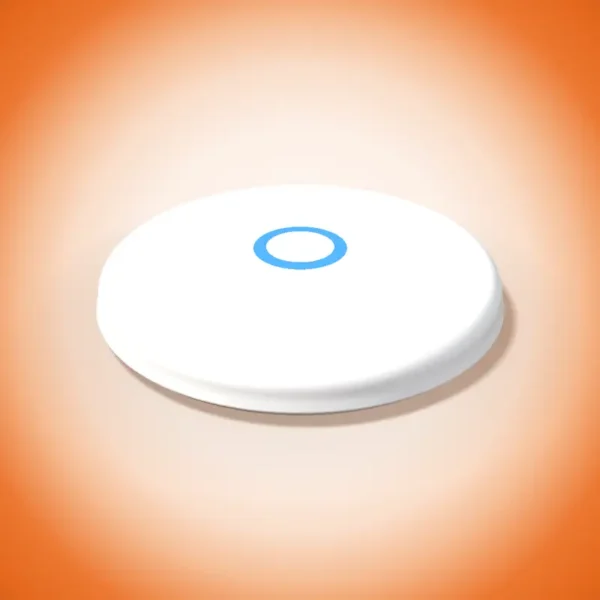Point d'Accès Wi-Fi Plafond