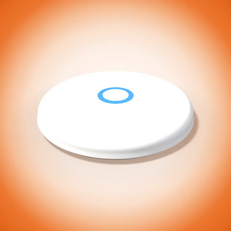 Point d'Accès Wi-Fi Plafond Point d'Accès Wi-Fi Plafond